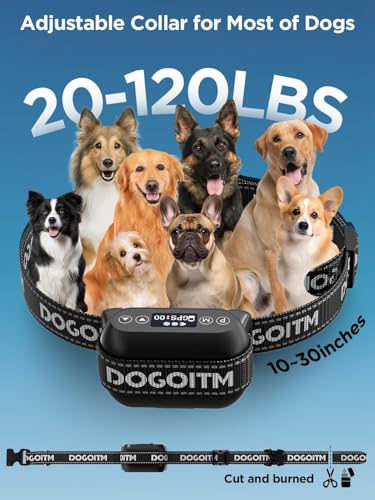 GPS Wireless Dog Fence for 2 Dogs (Multi-colored for 2 Dogs)