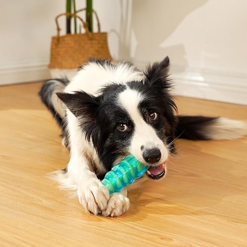 Dog Chew Toys for Aggressive Chewers (jelly fish)