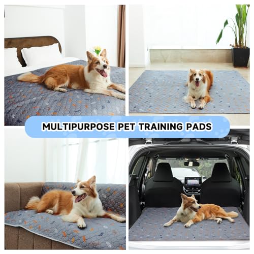 Washable Pee Pads for Dogs 2 (Leaves - Light Grey / 31x36 Inch (Pack of 2))