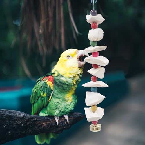 2 Pack Bird Toys with Cuttlebone (Small)