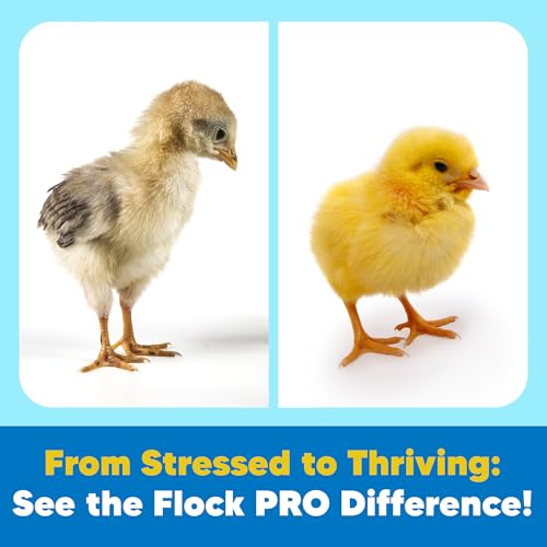 Flock PRO Chick Boost Probiotic (3 oz)