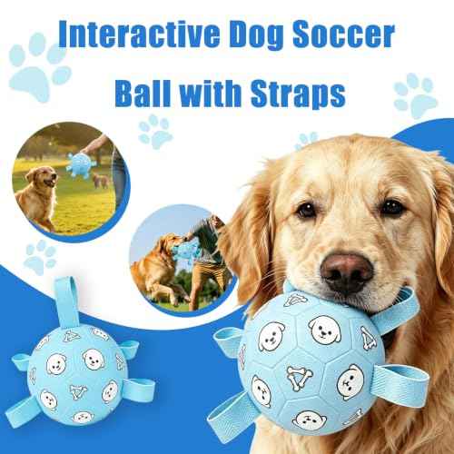 Dog Soccer Ball with Straps (Pale Blue / Medium-6 Inch)