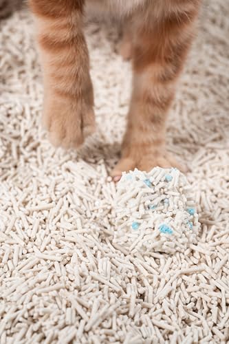 Tofu Cat Litter Clumping