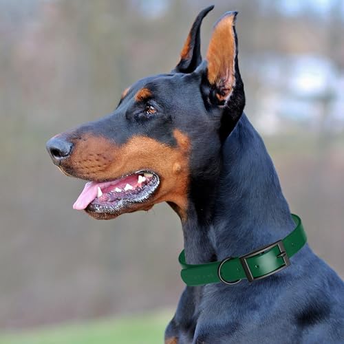 Biothane Waterproof Dog Collar Strong Coated Nylon Webbing with Black Hardware Odor (W1" x L18-22" / Hunter Green)