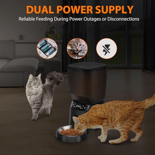 Automatic Cat Feeder