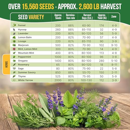 30 Medicinal & Tea Herb Seeds Variety Pack 15
