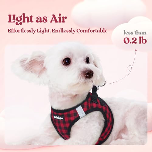 Dog Harness Small Sized and Leash Set (Red Check / S (chest: 15.1 - 16.5"))