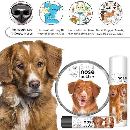 Nova Scotia Duck Tolling Retriever Unscented Nose Butter (Nova Scotia Duck Tolling Retriever / 2 Ounce)