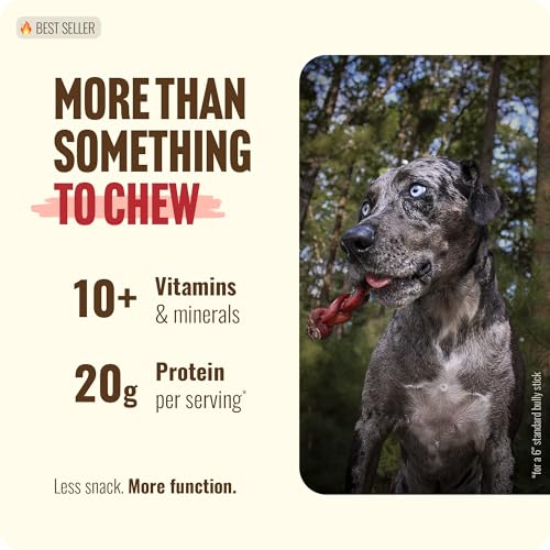 Odor Free Braided Bully Sticks (12" Braided - 10 Count)