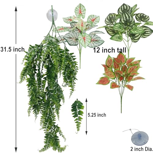 Reptile Plants for Bearded Dragon Tank Accessories (Group Bpn)