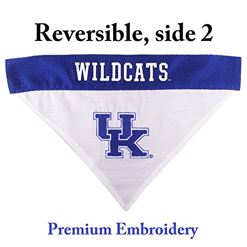 Collegiate Pet Accessories (Small/Medium / Kentucky Wildcats)