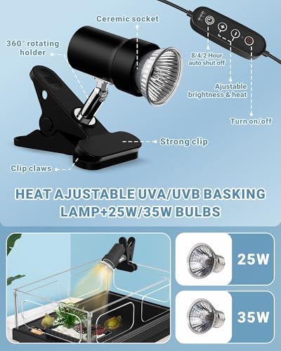 Small Turtle Tank Kit