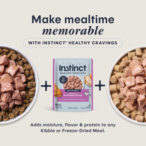 Healthy Cravings Wet Cat Toppers (3 Ounce (Pack of 24))