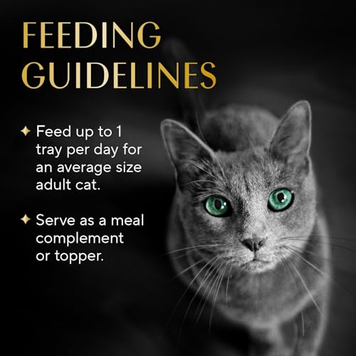 Selections Wet Cat Food Complement (12 Count (Pack of 1))