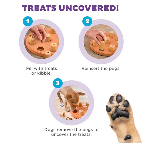 by Nina Ottosson Dog Smart Treat Puzzle Enrichment Toy (Dog Smart Composite (Orange) / 1 Count (Pack of 1))