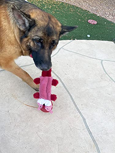 5 Pack Stuffingless Dog Squeaky Toys Dog Toy w (5 Pack - Color 4 - Squeaky)