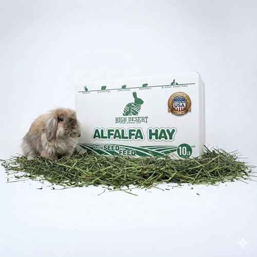 Alfalfa Hay for Young Rabbits and Guinea Pigs (10 Pound (Pack of 1))
