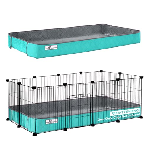 Reversible Critter Box (C&C 2x4 (12" Grids) / Gray/Green)
