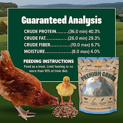 Premium Grubs (1 Pound (Pack of 1))
