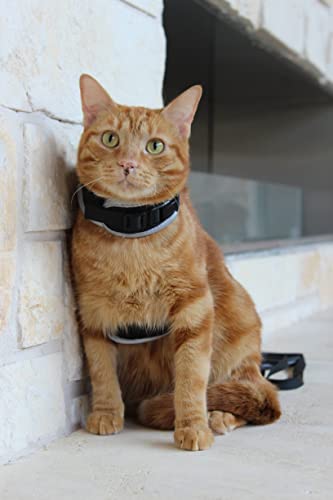 Travel Cat & Stray Cat Harness and Leash Set (MEDIUM: 11-13 IN)