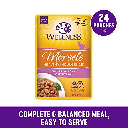 Healthy Indulgence Morsels Adult Wet Cat Food (3 Ounce (Pack of 24))