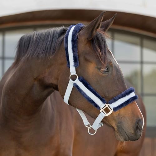 Valkyrie Ultra Fleece Padded Leather Fuse Breakaway Horse Halter (Sweet Blue/Navy / Cob)