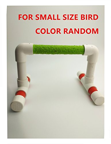 Small Bird Parrot Stand Perch Table Top Stand Playground Grind Perch Swing Training Playstand Exercise Chew Toys for Budgies Parakeet Cockatiel Conure Finch (L)