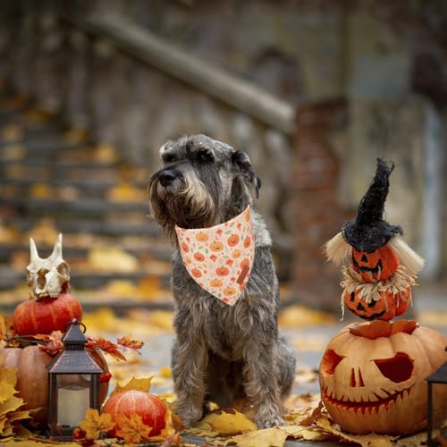 Halloween Dog Bandana (Small / Yellow&Orange)