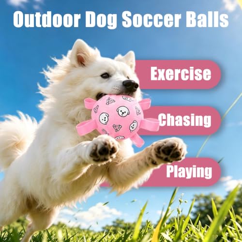 Dog Soccer Ball with Straps (Pink / Medium-6 Inch)