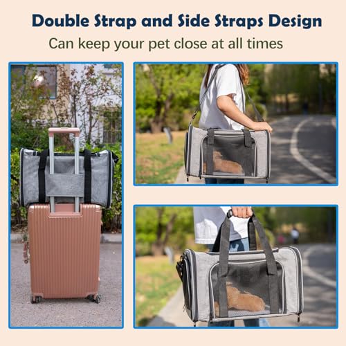 Dog Cat Carrier Pet Carriers for Large Cats Small Dogs Carrier Soft Sided Puppy up to 25Lbs Dog Carrier Portable Foldable Dog Cat Travel Carrier (20.0"L x 13.0"W x 13.0"H / Grey&Black)