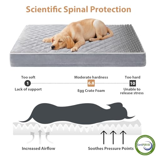 Orthopedic Waterproof Large Dog Bed for Crate Cozy Sleep (Light Grey / 35"L x 22"W x 3"Th)