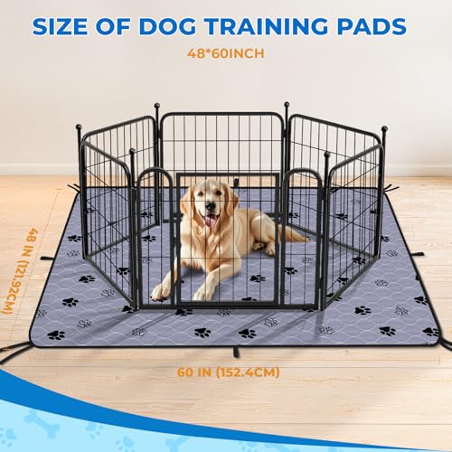 Non Slip Washable Pee Pads for Dogs (Gray / 48*60 Inch (Pack of 2))
