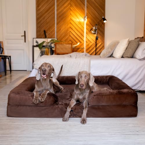 Large Dog Bed (Brown - VE / X-Large)