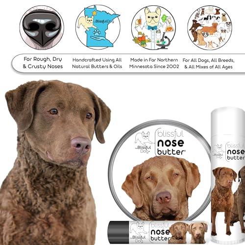 Chesapeake Bay Retriever Unscented Nose Butter (Chesapeake Bay Retriever / 4 Ounce)