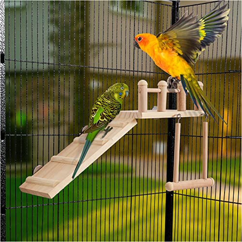 Bird Perches Platform Swing with Climbing Ladder