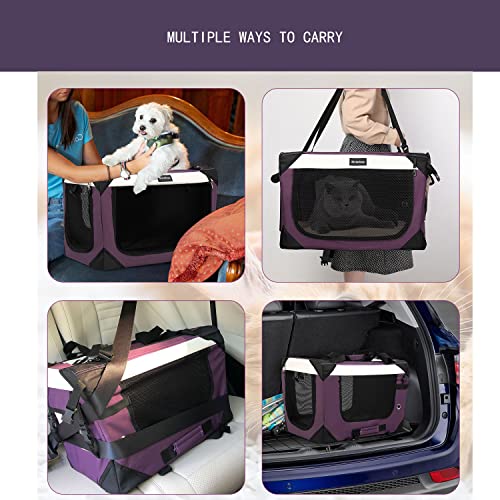 Large Cat Carrier (24.0"L x 16.0"W x 16.0"H / Purple)