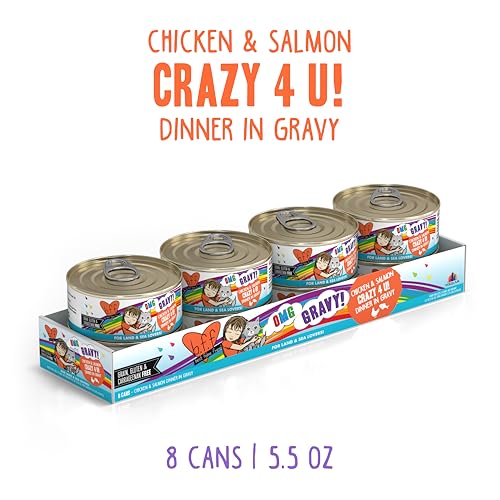 B.F.F. OMG Best Feline Friend Oh My Gravy! Grain (5.5 Ounce (Pack of 8))