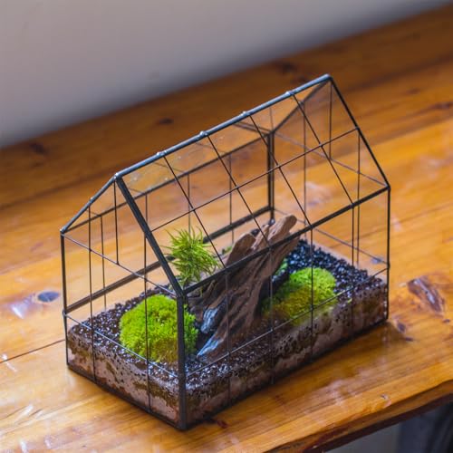 Geometric Glass Terrarium with Front Opening Door