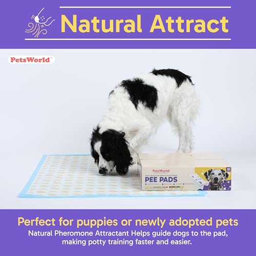 Giant Dog Potty Pads (36x36 Health Indicating / 100 Count)