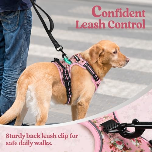 Dog Harness No Pull for Small Dogs with 2 Leash Clips (Small / Pink Rose)