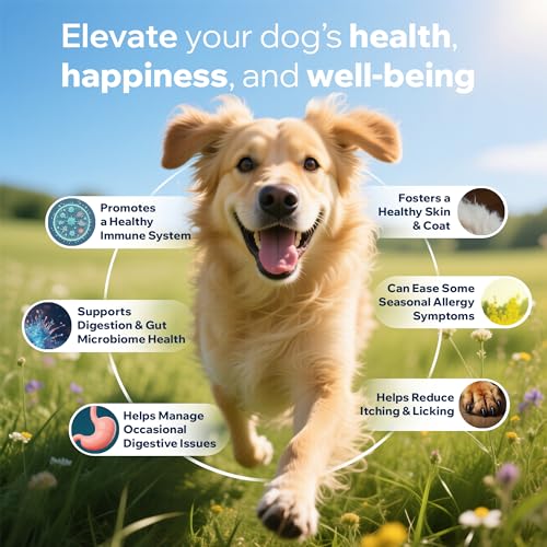 Dog Probiotics For Gut Health