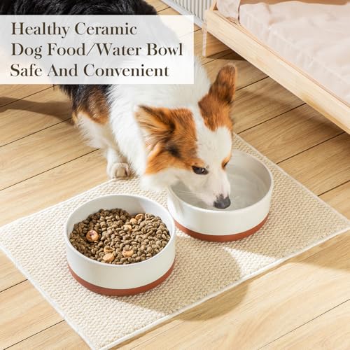 Dog Bowls Ceramic Dog Food and Water Bowls for Large Size Dogs (L-6 Cups / Vanilla White（1 PC）)