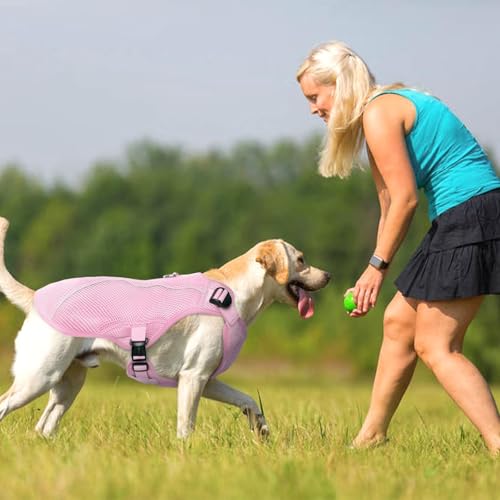 Dog Cooling Vest for Large Dogs with with Sun Protection (Xxl (Chest Girth:31.1'') / Berry Pink)