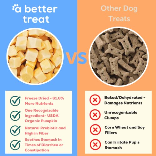 Freeze Dried Organic Pumpkin Dog and Cat Treats (1 Ounce (Pack of 3))