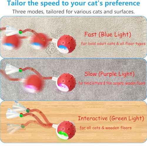 2PCS Interactive Cat Toys for Indoor Cats with 6 Tails (2pc R+B)