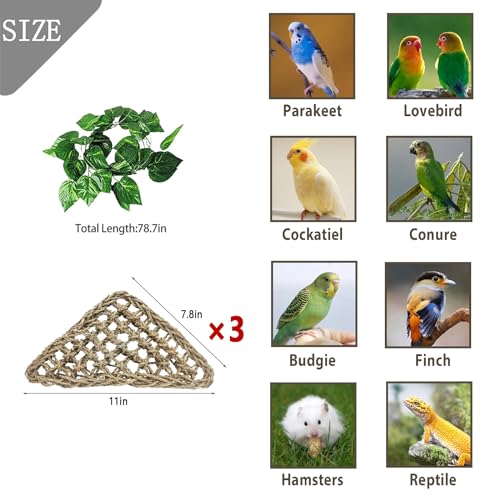 3 PCS Parrot Seagrass Mat