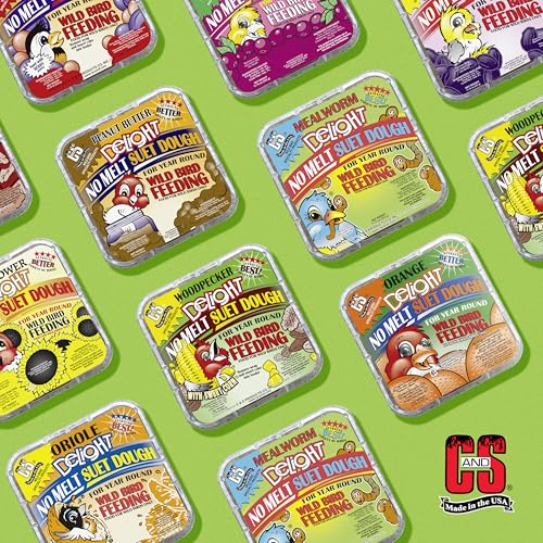 Mealworm Delight No Melt Suet Dough (1.47 Ounce (Pack of 8) / Mealworm, 8 Pack)