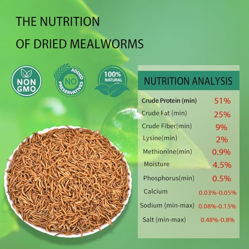 Dried Mealworms 5LB Pure Natural Chicken Treats for Laying Hens Wild Birds (5 Pound (Pack of 1) / Mealworms)