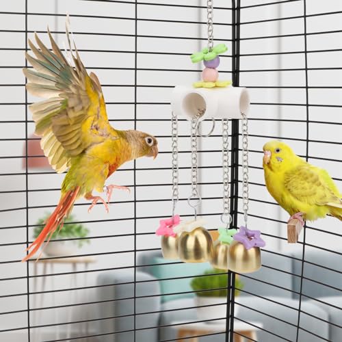 Bird Parrot Bells Toy with Sweet Sound for Parakeet Cockatiel (B (Bird Bell Toy))