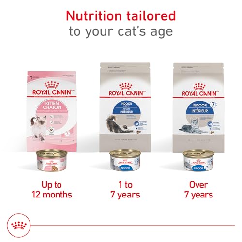 Feline Health Nutrition Indoor Adult Dry Cat Food (3 Pound (Pack of 1))